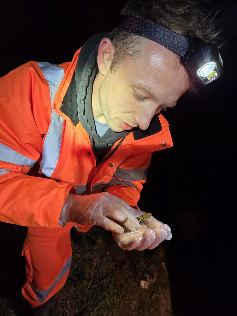 Ecologist carrying out specialist survey work