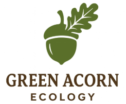 Green Acorn Ecology